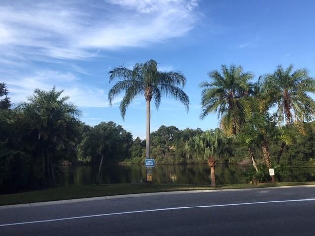 2716 11TH CT, PALM HARBOR, FL, 34684