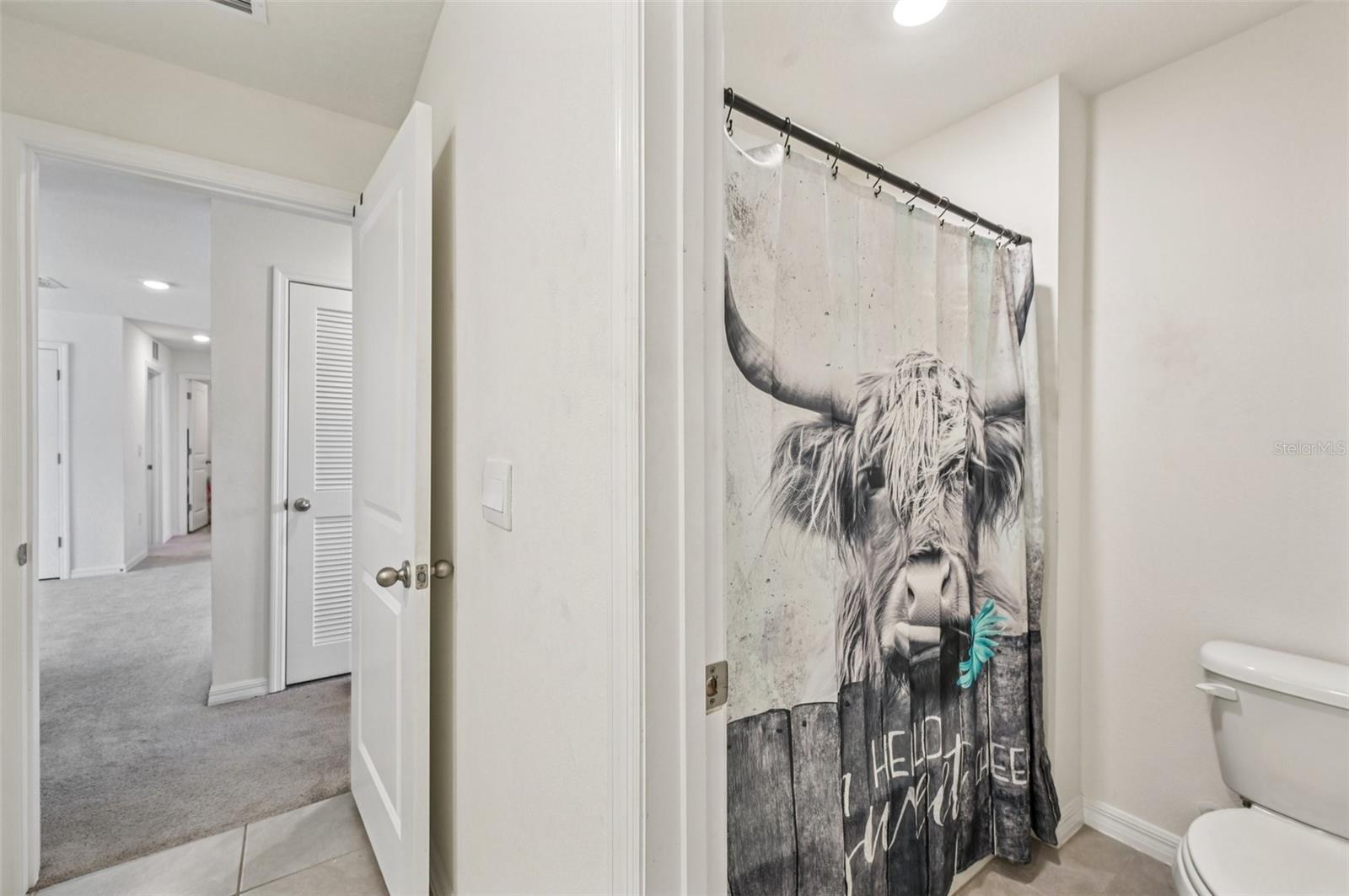 5240 FIDDLE FIG AVE, WIMAUMA, FL, 33598