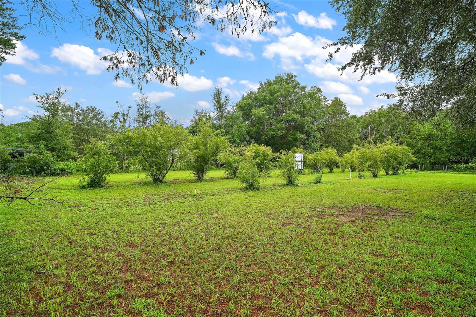 3026 LAKE GRIFFIN RD, LADY LAKE, FL, 32159