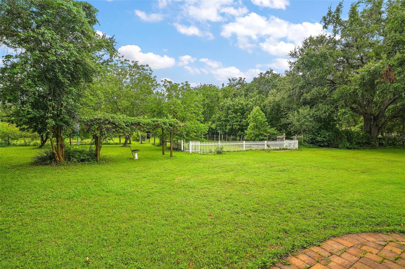 3026 LAKE GRIFFIN RD, LADY LAKE, FL, 32159