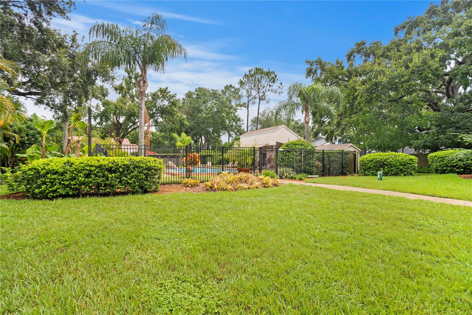 11413 GALLERIA DR, TAMPA, FL, 33618