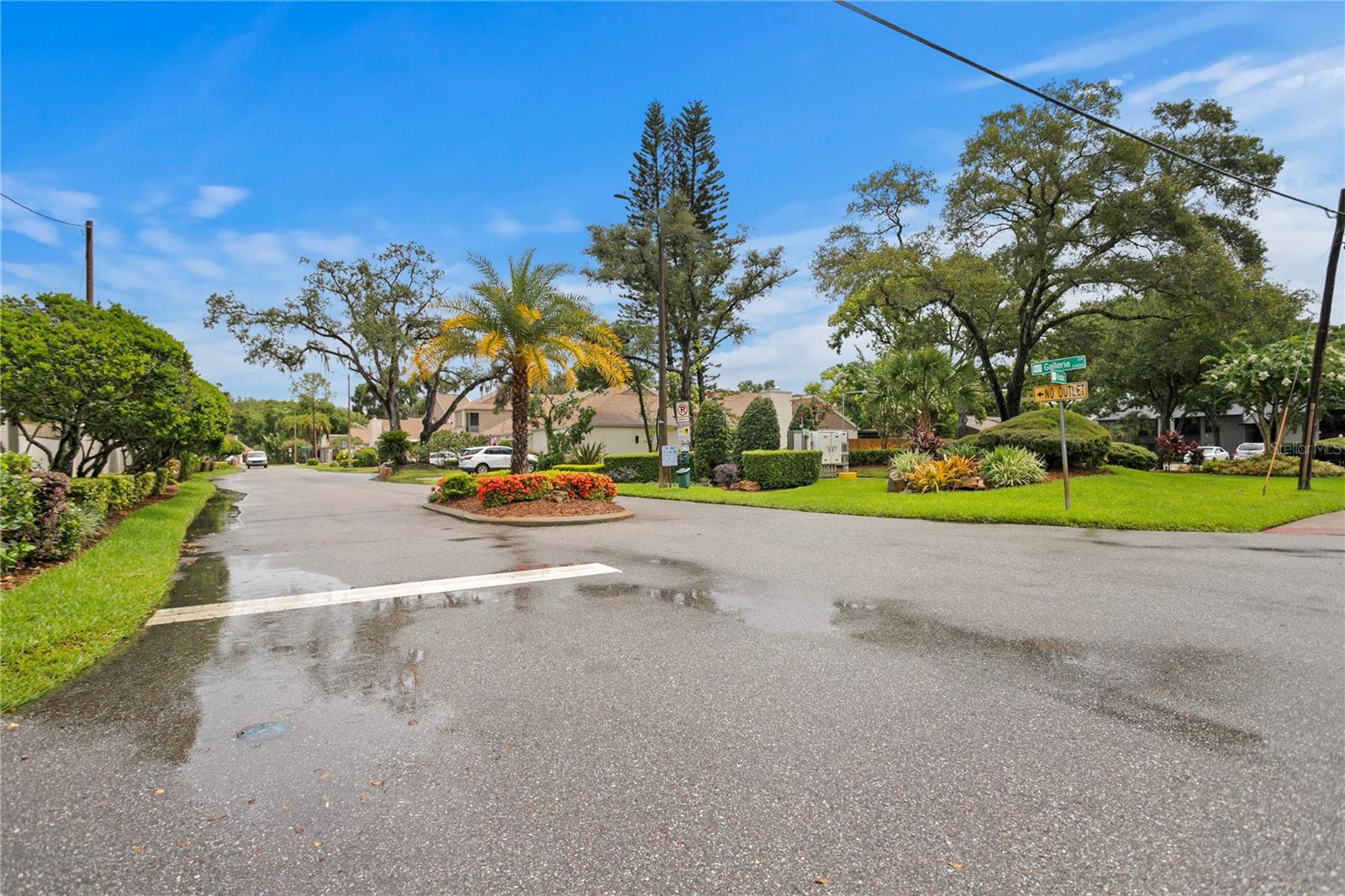 11413 GALLERIA DR, TAMPA, FL, 33618