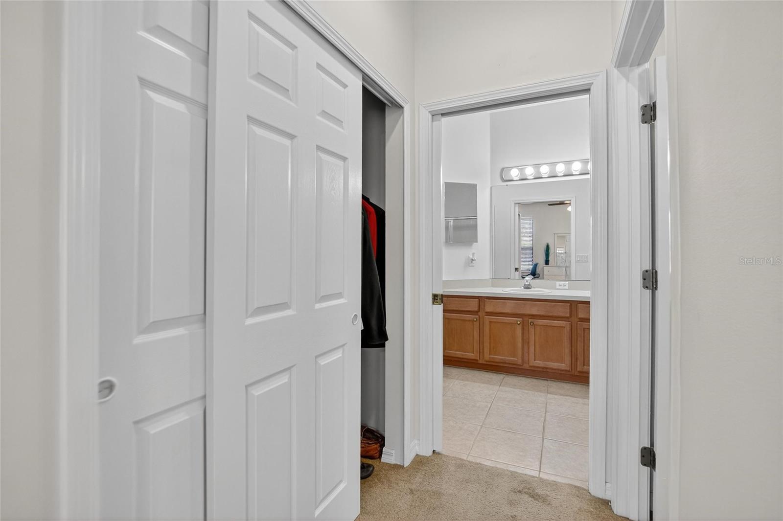 226 SHELL FALLS DR, APOLLO BEACH, FL, 33572