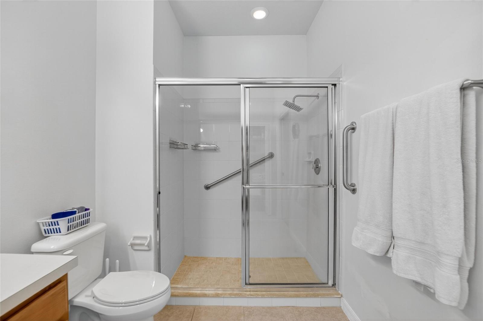 226 SHELL FALLS DR, APOLLO BEACH, FL, 33572