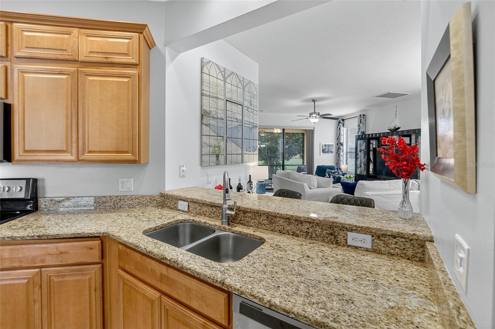 226 SHELL FALLS DR, APOLLO BEACH, FL, 33572