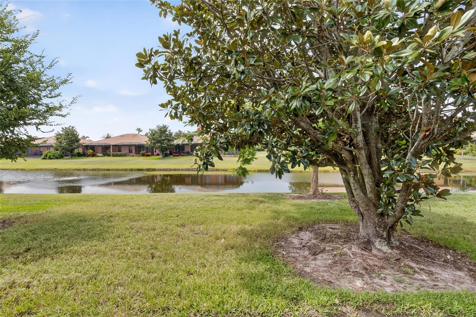 226 SHELL FALLS DR, APOLLO BEACH, FL, 33572