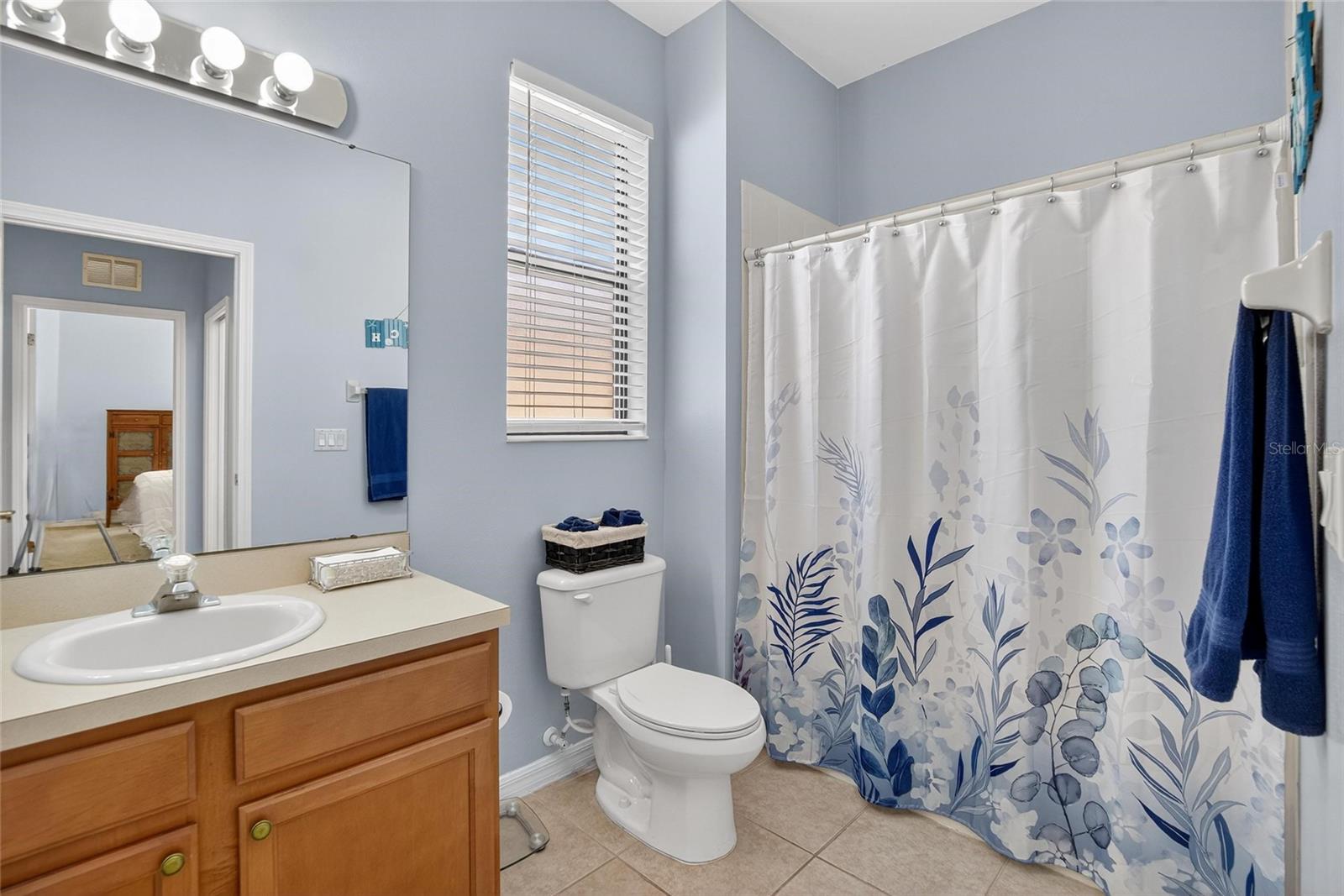 226 SHELL FALLS DR, APOLLO BEACH, FL, 33572