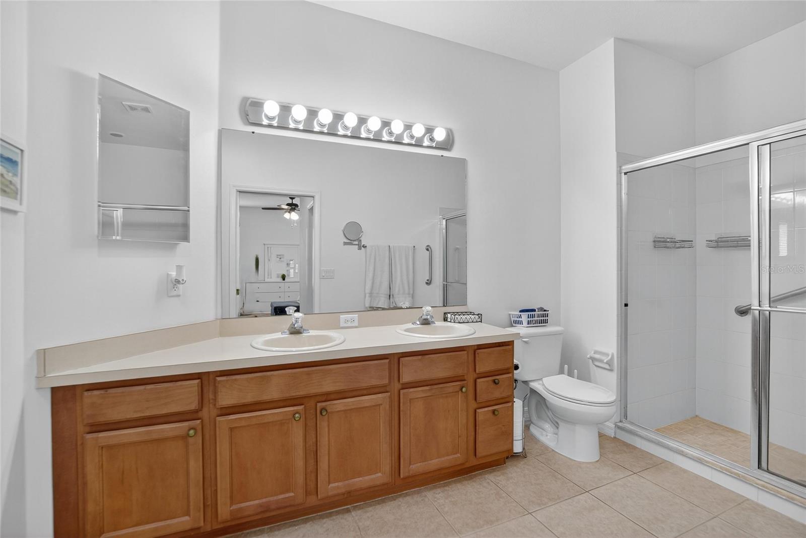 226 SHELL FALLS DR, APOLLO BEACH, FL, 33572