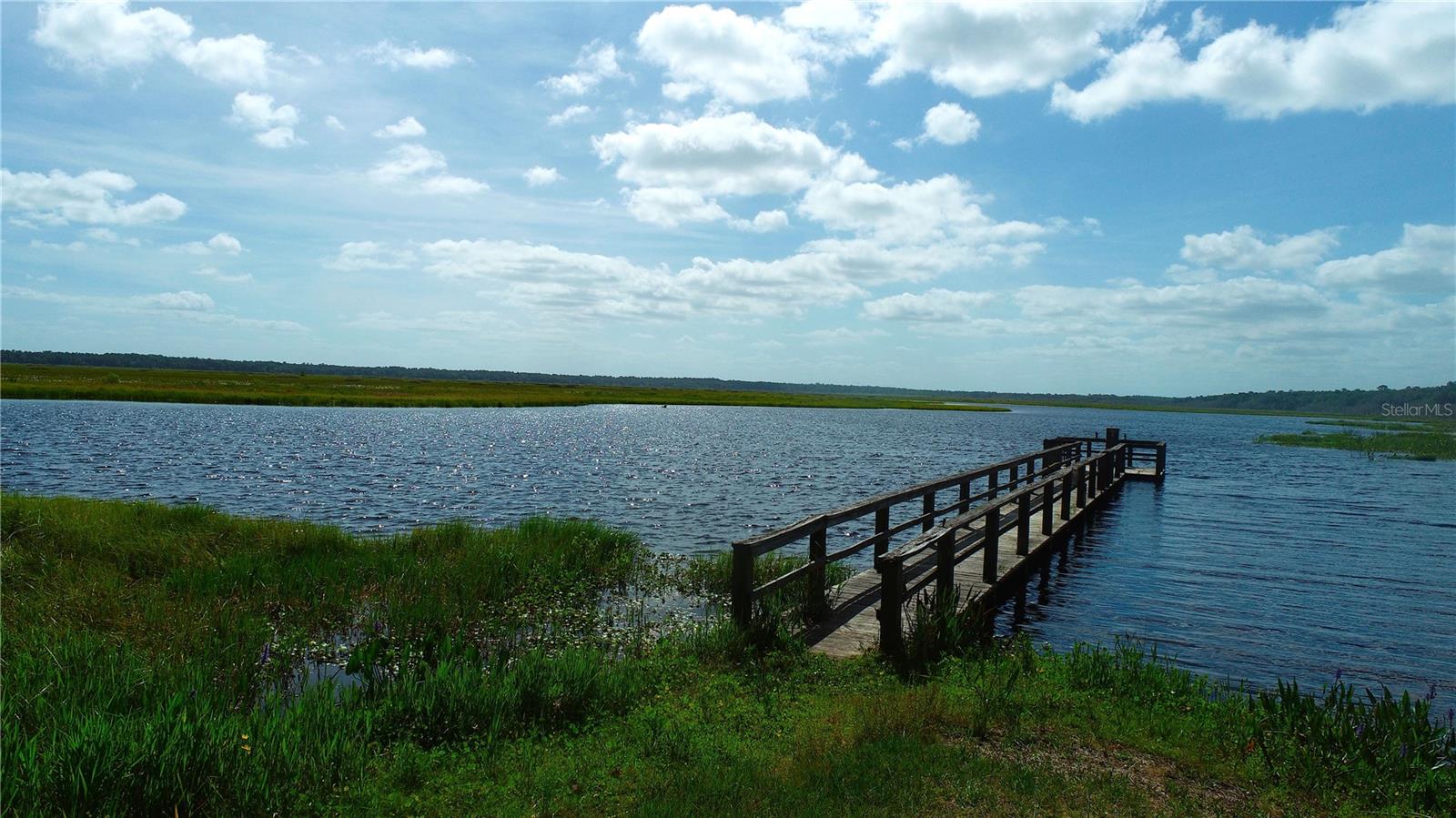 OM704652 Property Photo