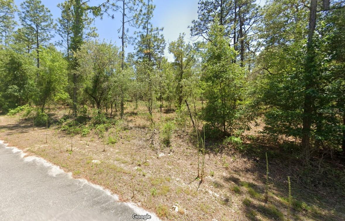 24262 NW ASPEN LANE, DUNNELLON, FL, 34431