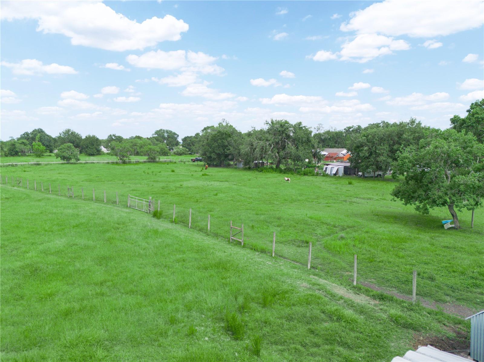 3125 TOM MATTHEWS RD, LAKELAND, FL, 33810