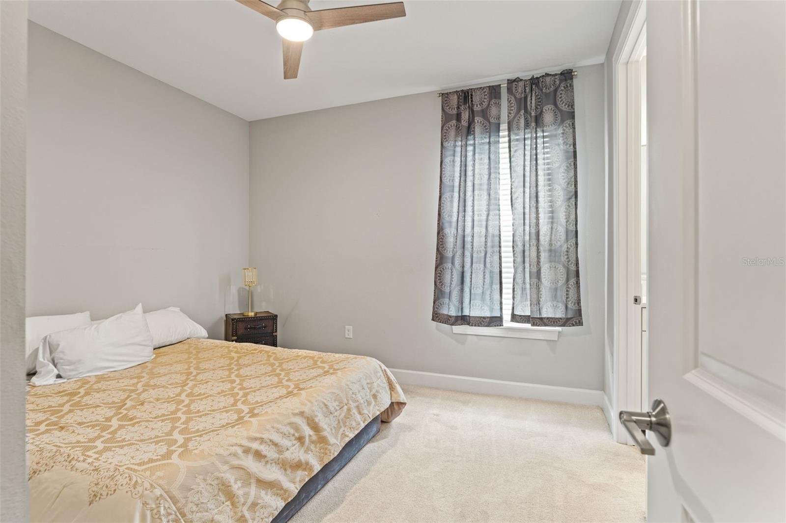 4520 FRECCIA LOOP, WESLEY CHAPEL, FL, 33543