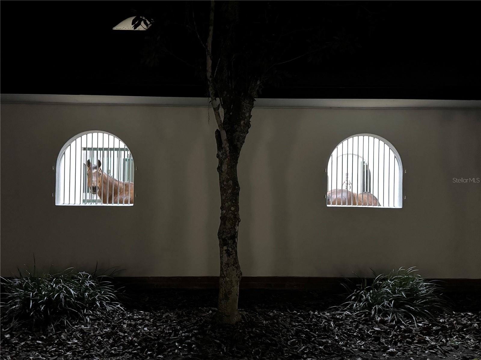 OM704718 Property Photo