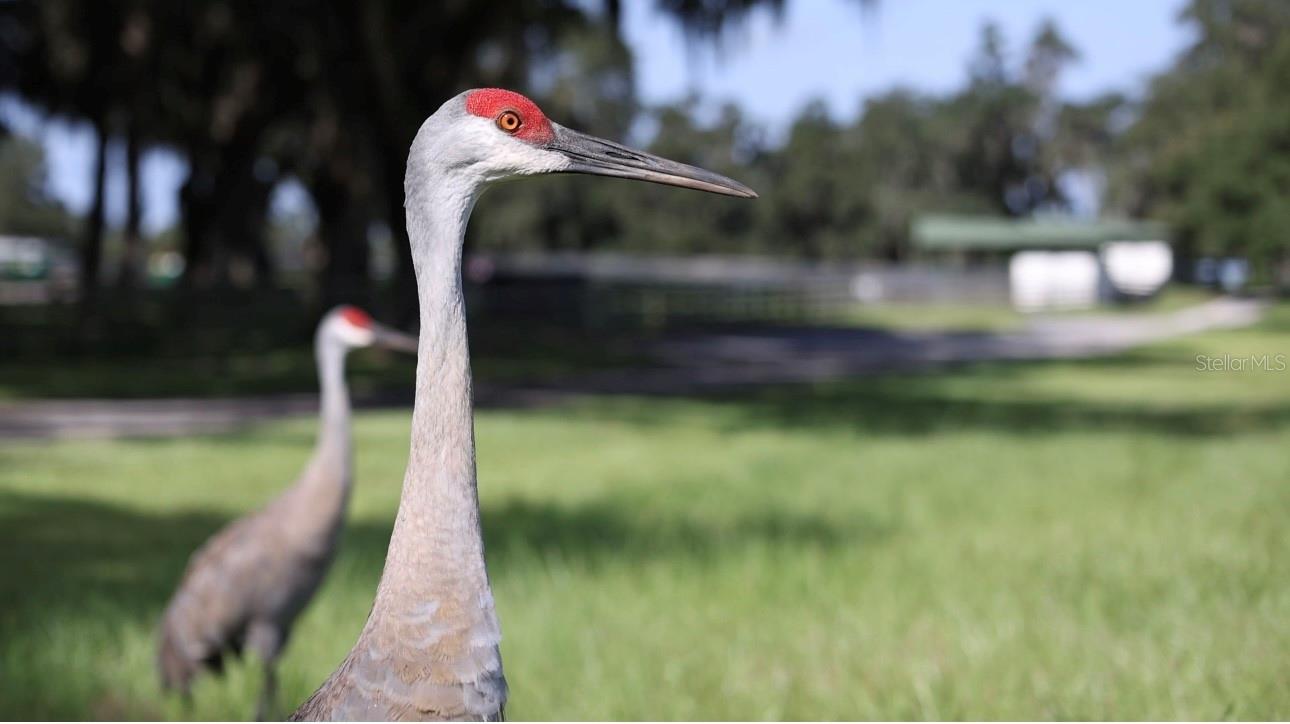 OM704718 Property Photo