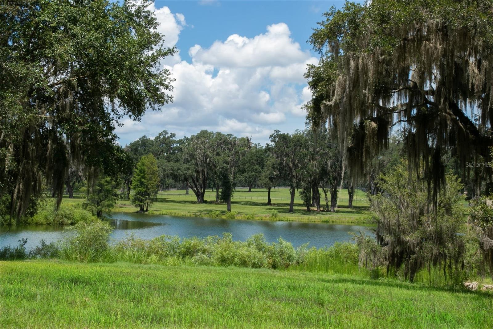 OM704718 Property Photo