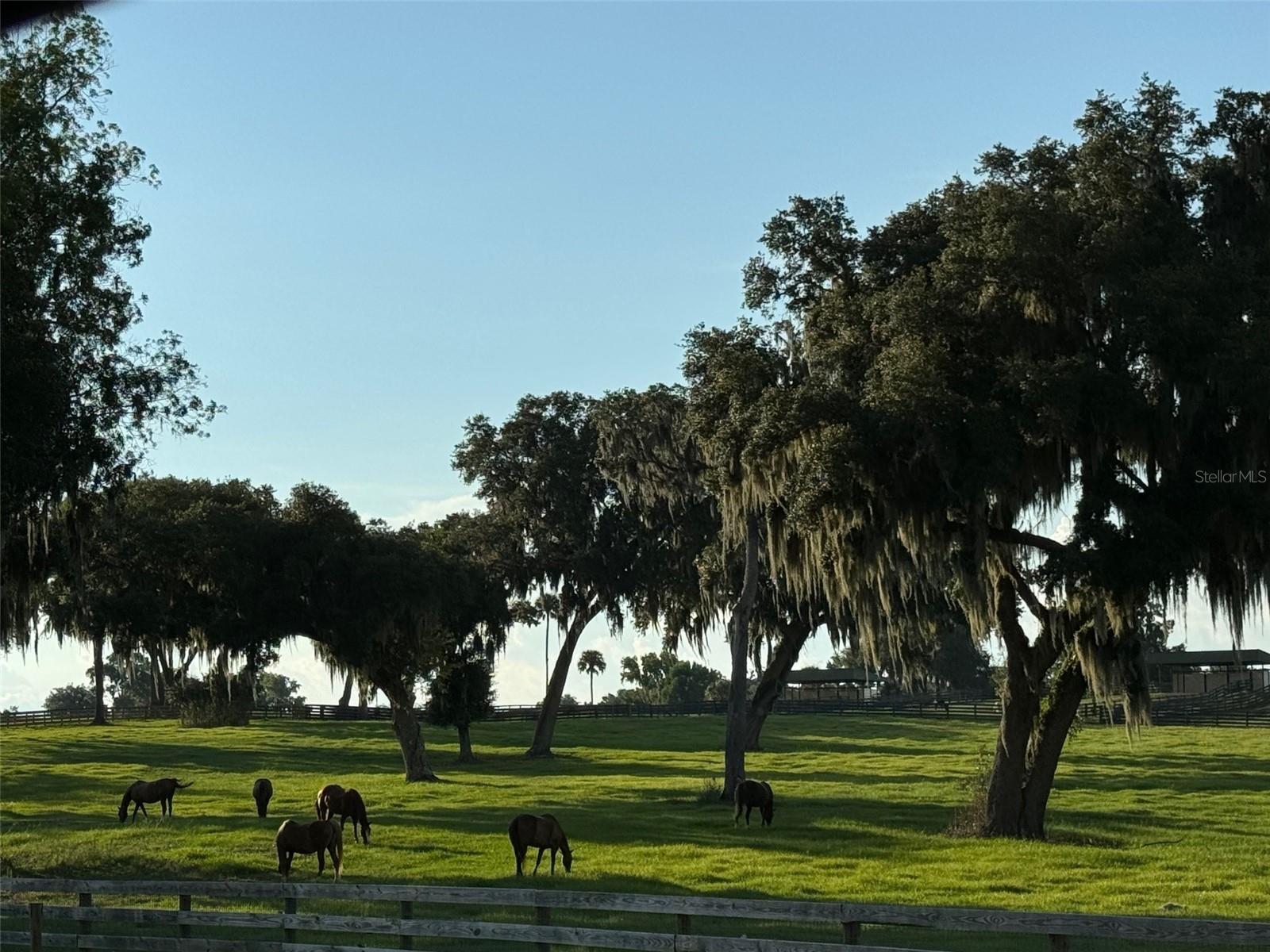 OM704718 Property Photo