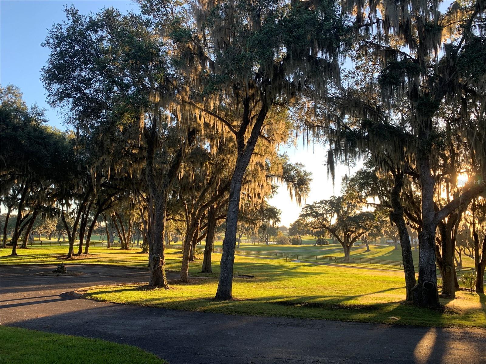 OM704718 Property Photo