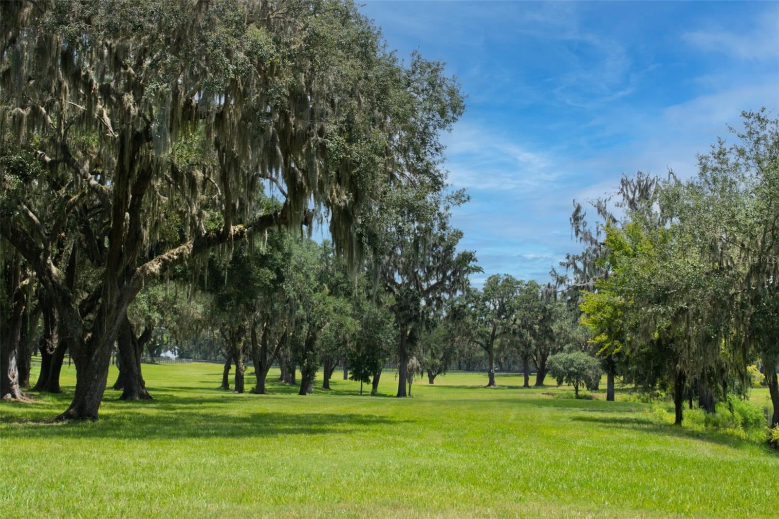 OM704718 Property Photo