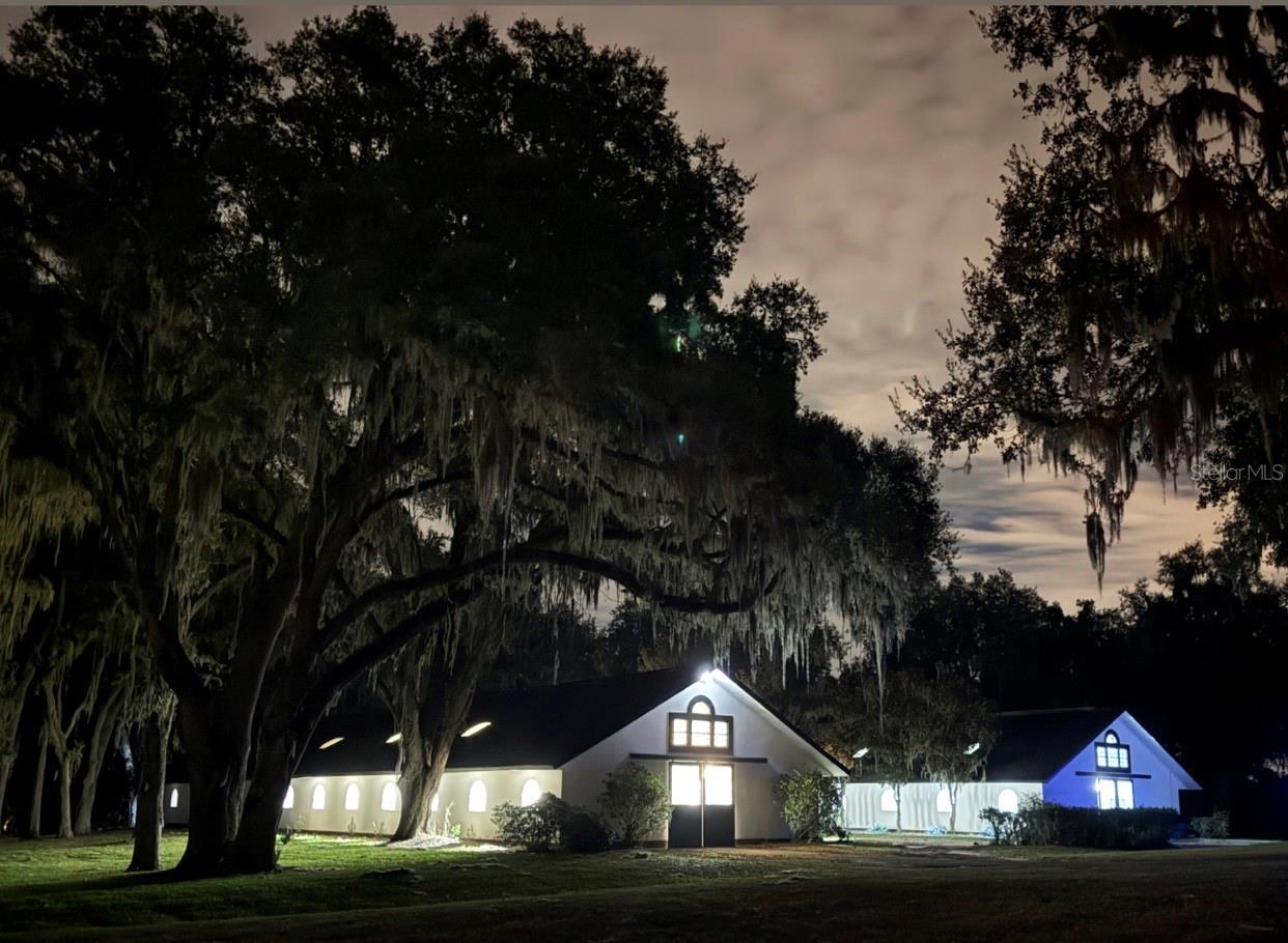 OM704718 Property Photo