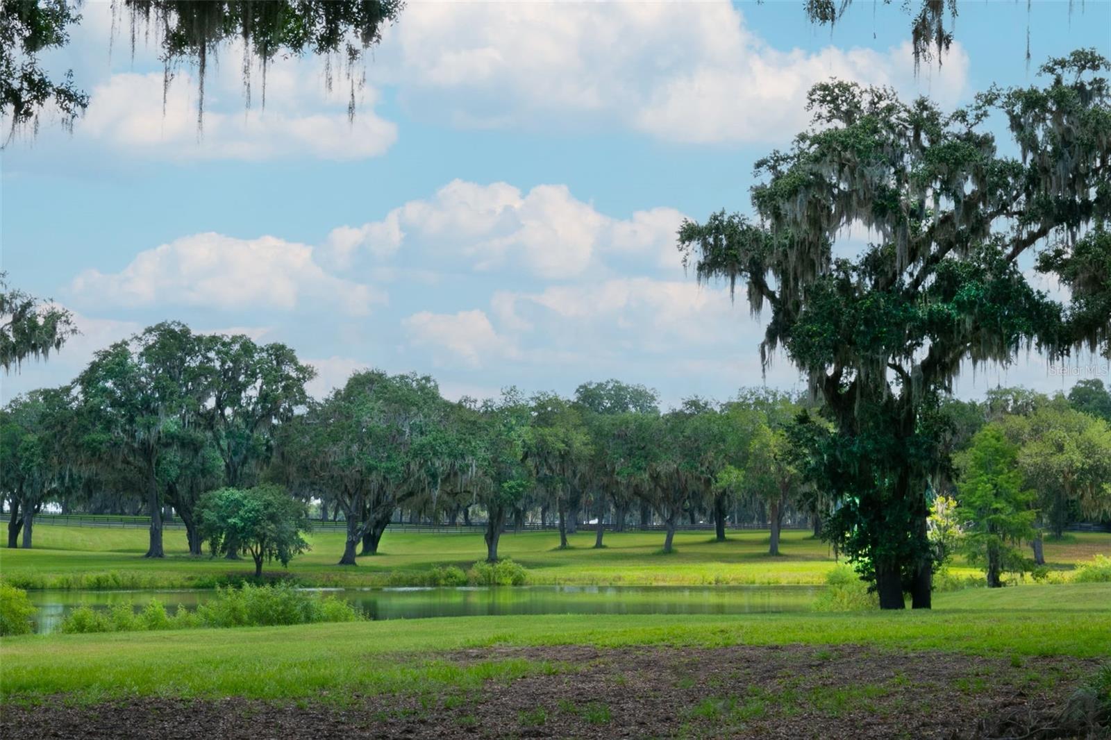 OM704718 Property Photo