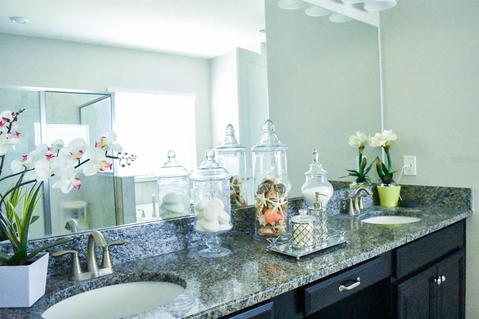 13520 WHITE SAPPHIRE RD, RIVERVIEW, FL, 33579