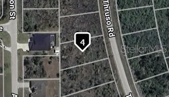 8079 THRUSO RD, PORT CHARLOTTE, FL, 33981