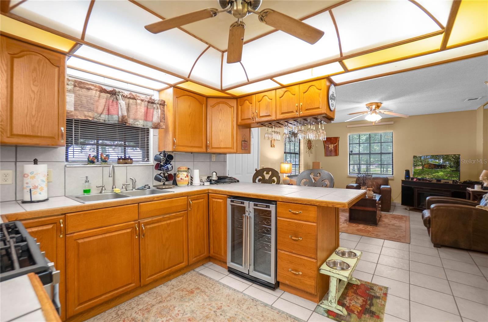 3699 CR 626N, BUSHNELL, FL, 33513