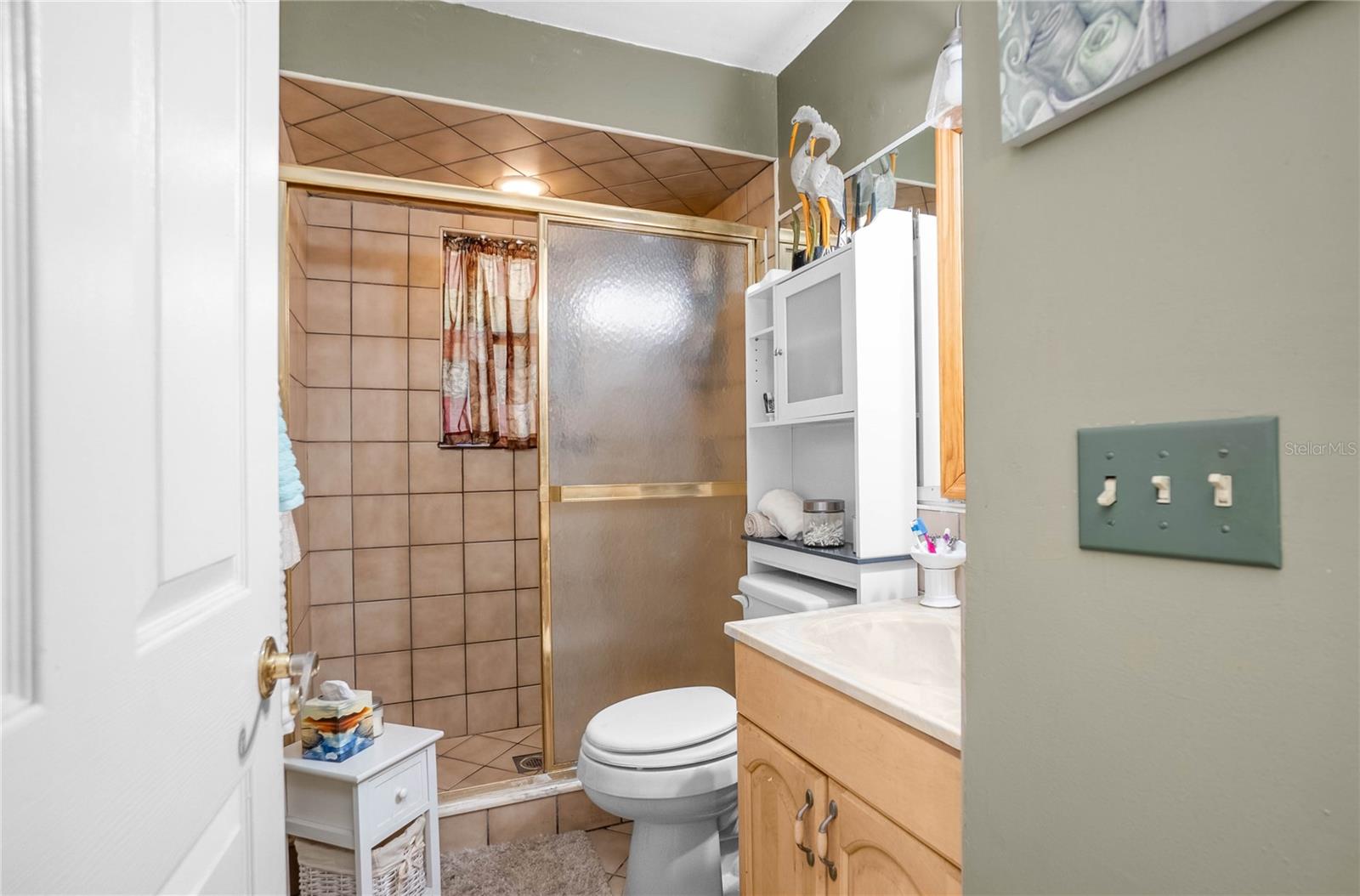 3699 CR 626N, BUSHNELL, FL, 33513