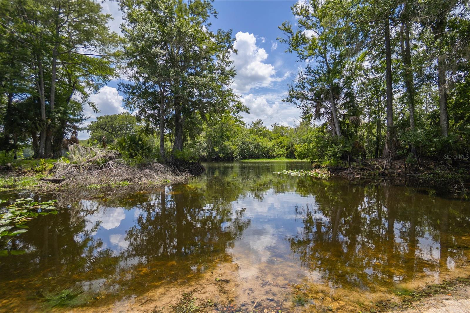 3699 CR 626N, BUSHNELL, FL, 33513