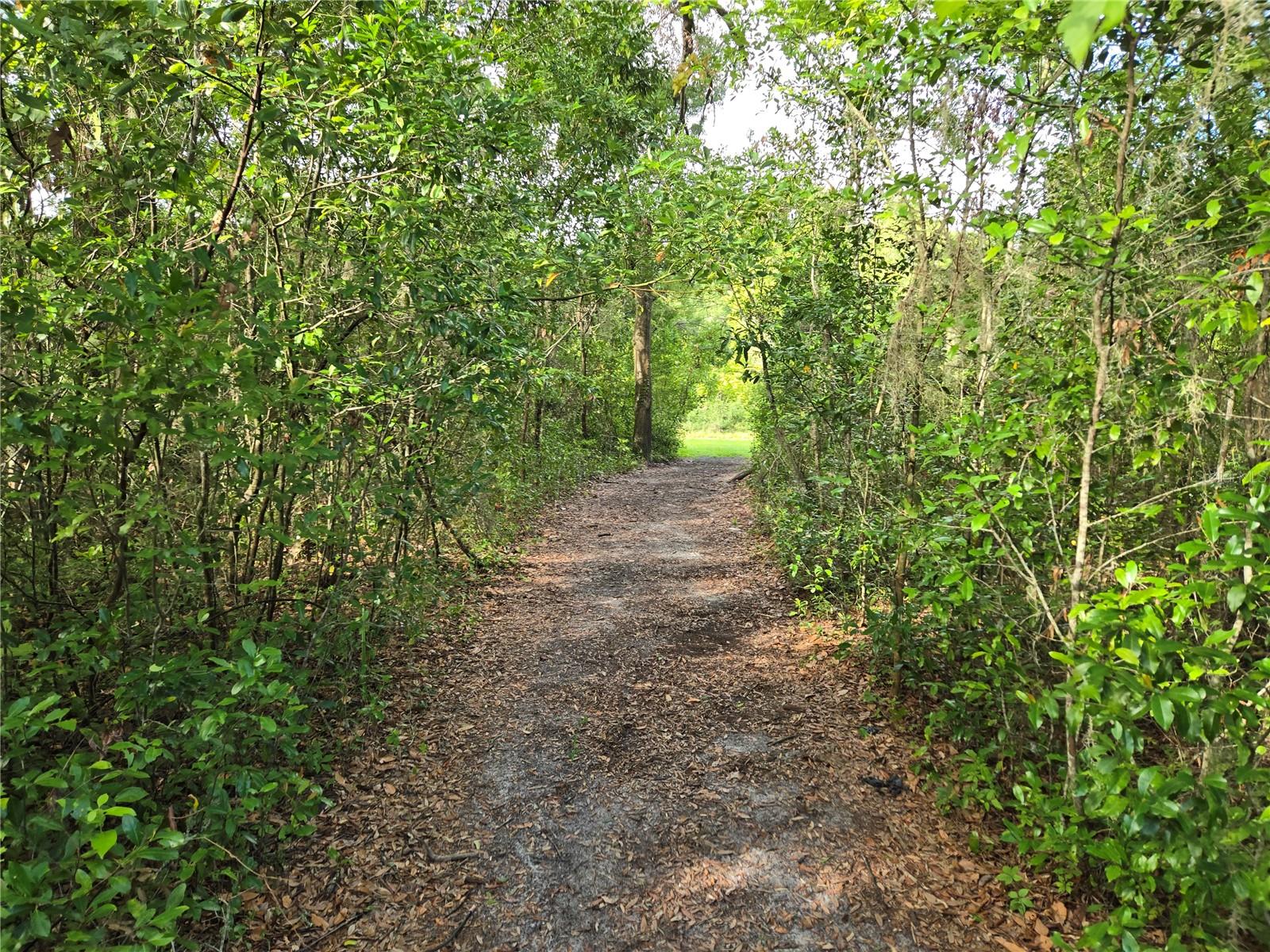 18566 NW 242ND ST, HIGH SPRINGS, FL, 32643