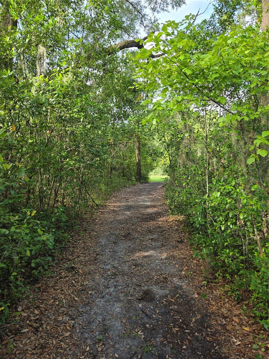 18566 NW 242ND ST, HIGH SPRINGS, FL, 32643