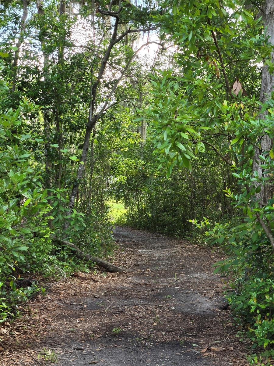 18566 NW 242ND ST, HIGH SPRINGS, FL, 32643