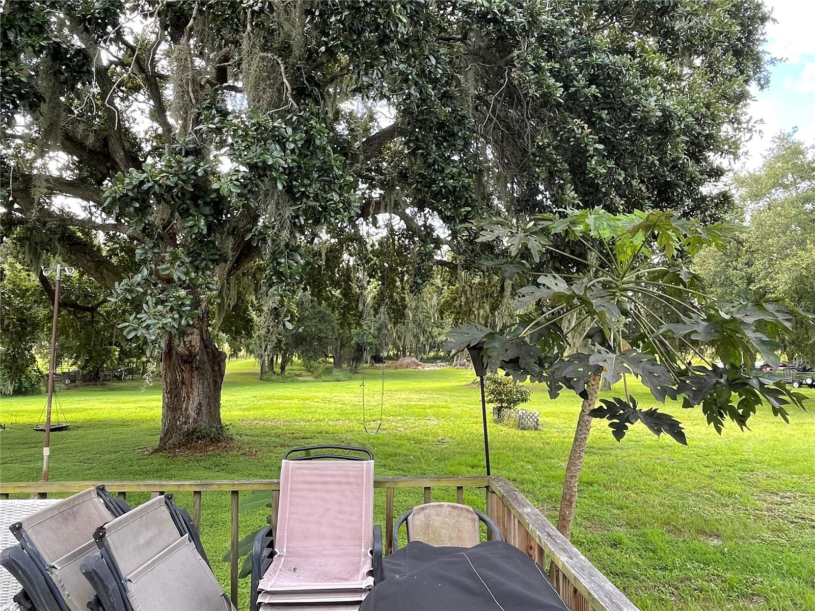 5946 OLD BARTOW EAGLE LAKE RD, WINTER HAVEN, FL, 33880