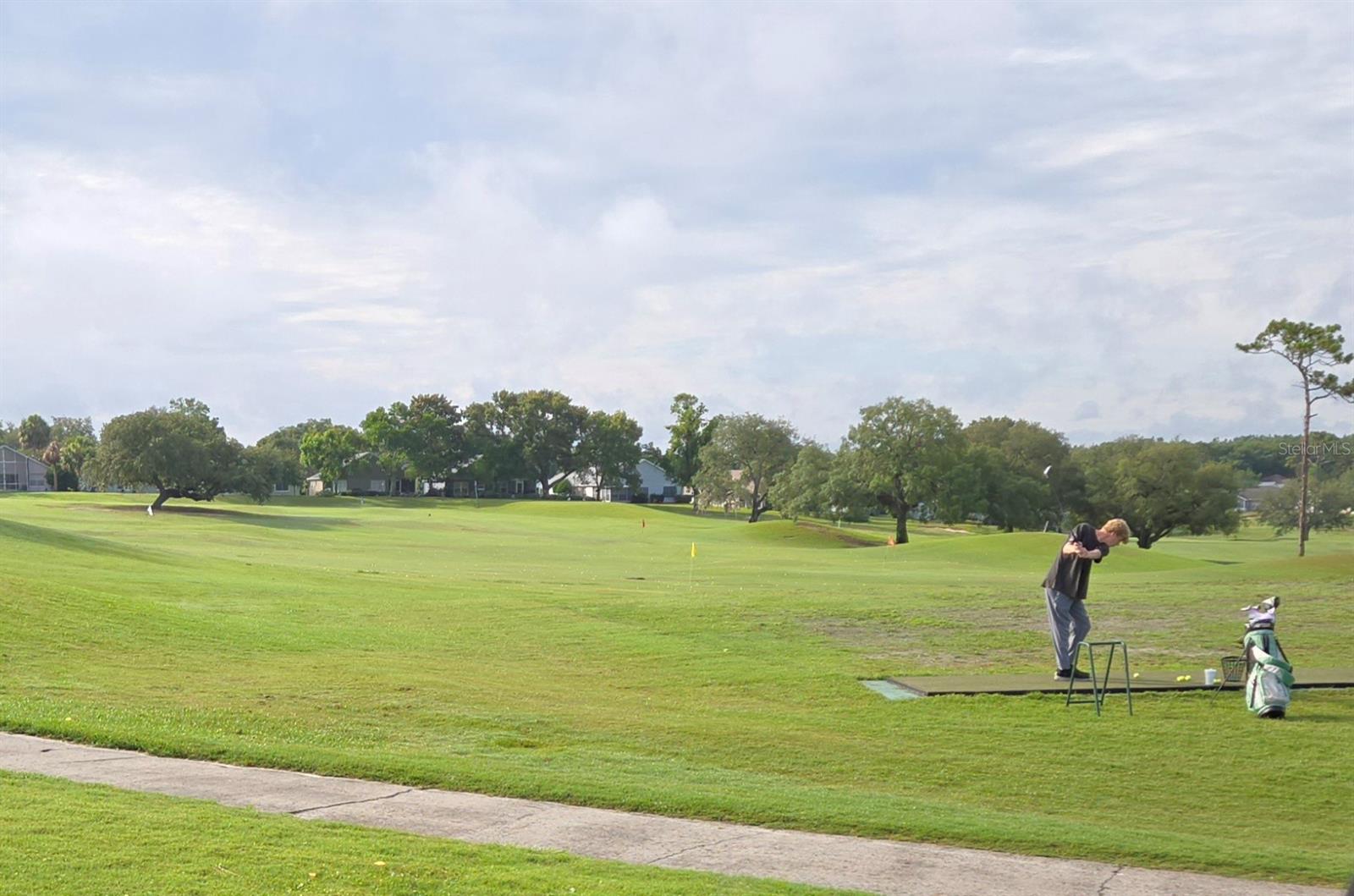 415 W PUTTING GREEN CT, BEVERLY HILLS, FL, 34465