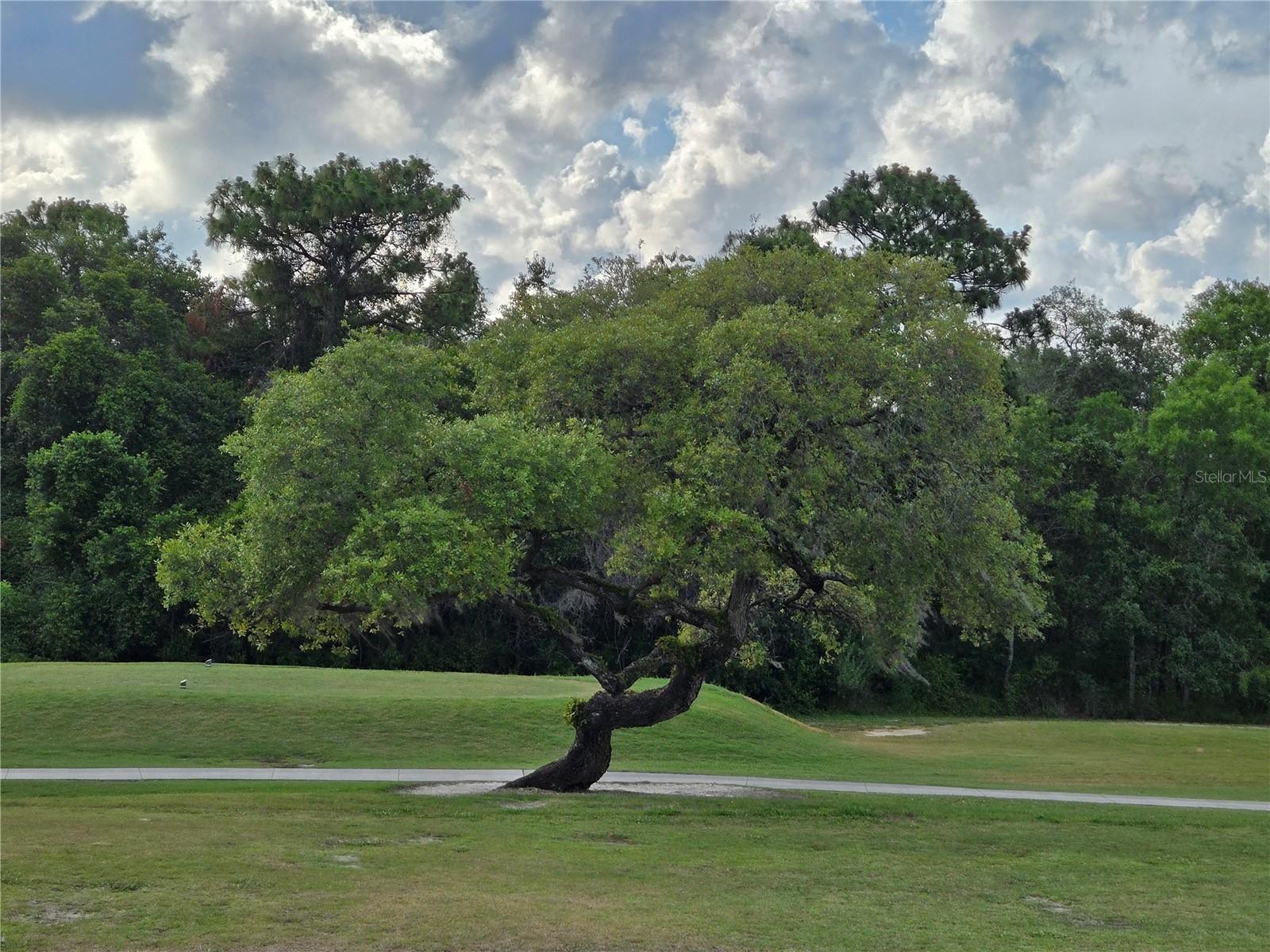 415 W PUTTING GREEN CT, BEVERLY HILLS, FL, 34465