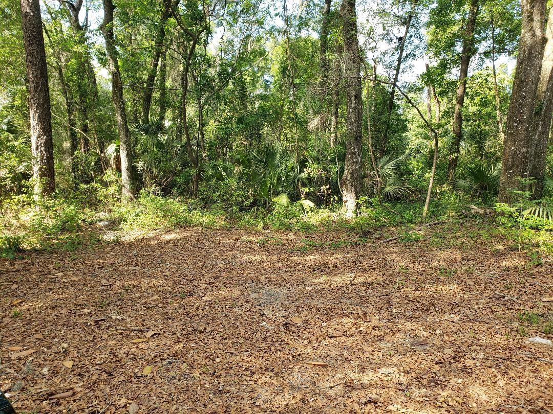 3425 NE 56TH AVE, SILVER SPRINGS, FL, 34488