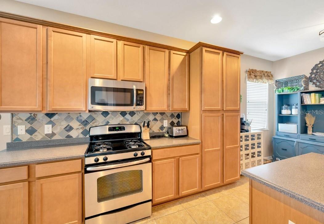 11127 WEMBLEY LANDING DR, LITHIA, FL, 33547