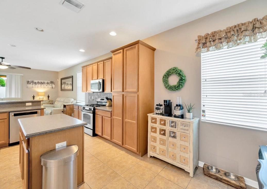 11127 WEMBLEY LANDING DR, LITHIA, FL, 33547