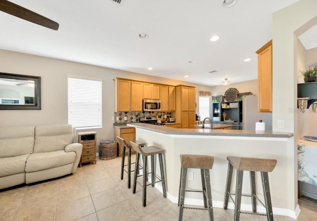 11127 WEMBLEY LANDING DR, LITHIA, FL, 33547