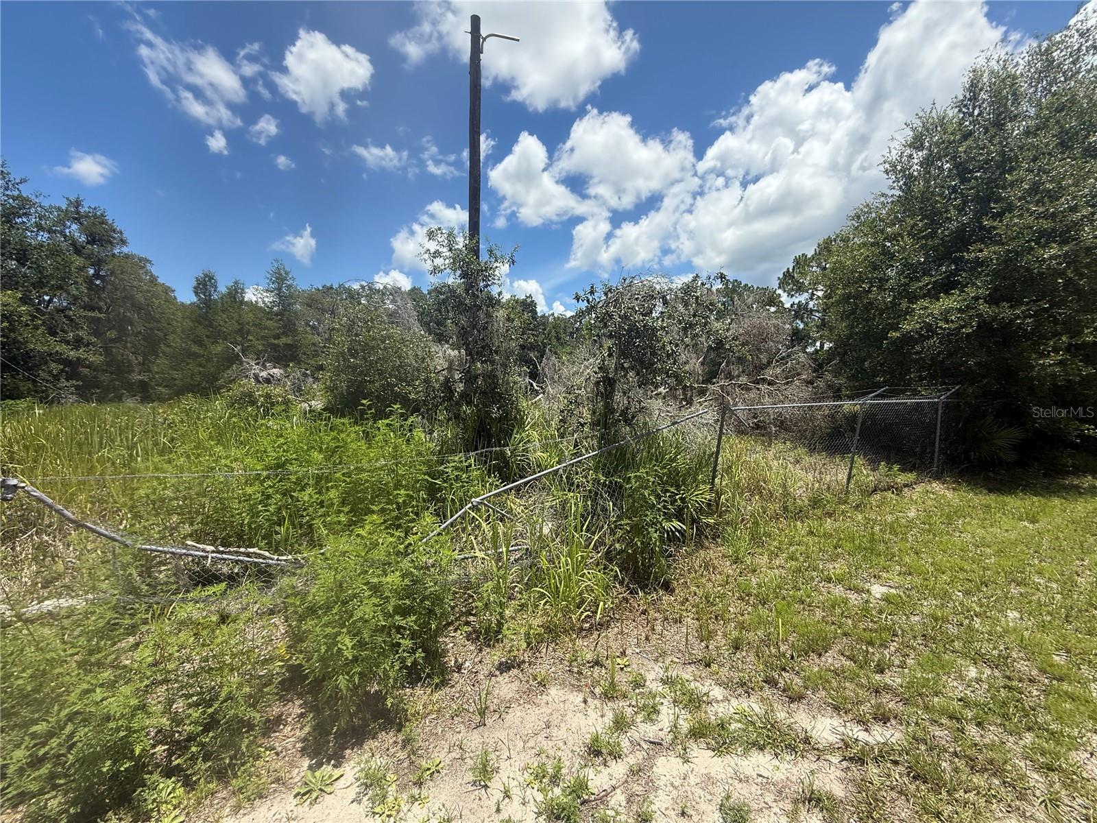 0 GOOLSBY ST, WEBSTER, FL, 33597