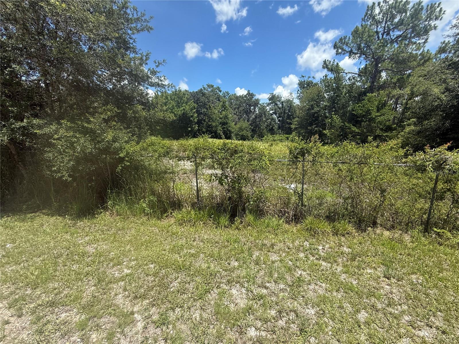 0 GOOLSBY ST, WEBSTER, FL, 33597