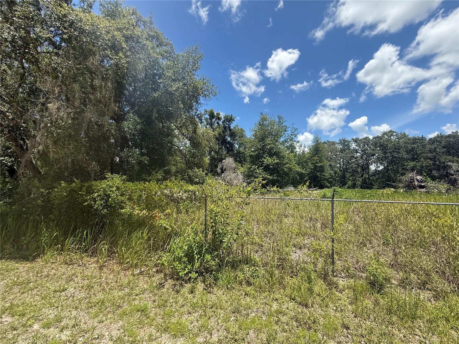 0 GOOLSBY ST, WEBSTER, FL, 33597