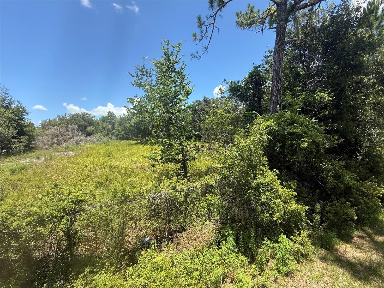 0 GOOLSBY ST, WEBSTER, FL, 33597