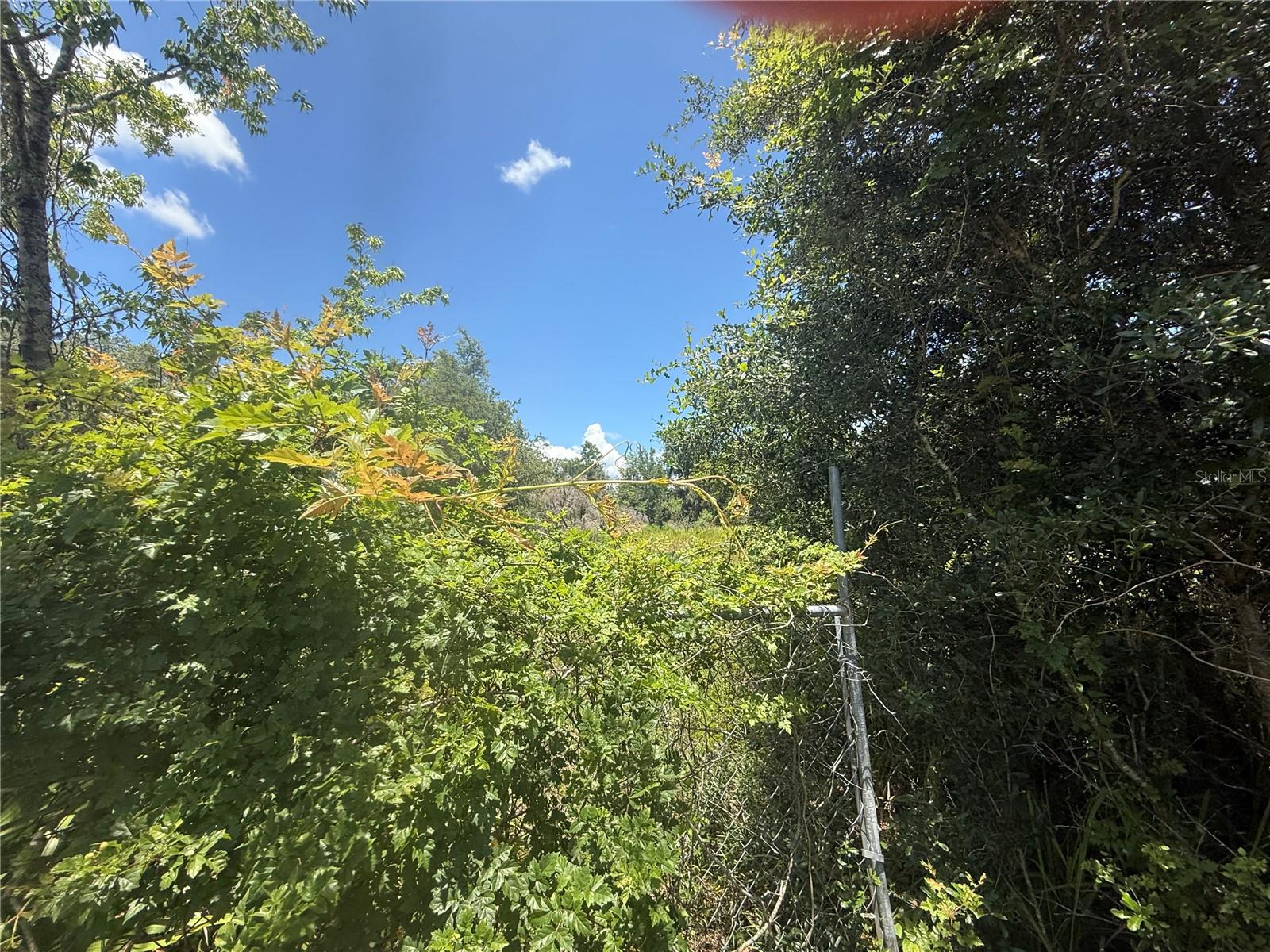 0 GOOLSBY ST, WEBSTER, FL, 33597