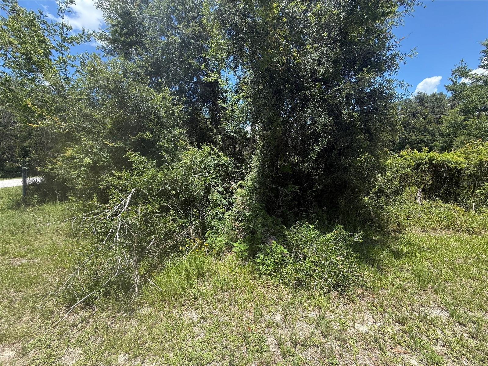 0 GOOLSBY ST, WEBSTER, FL, 33597