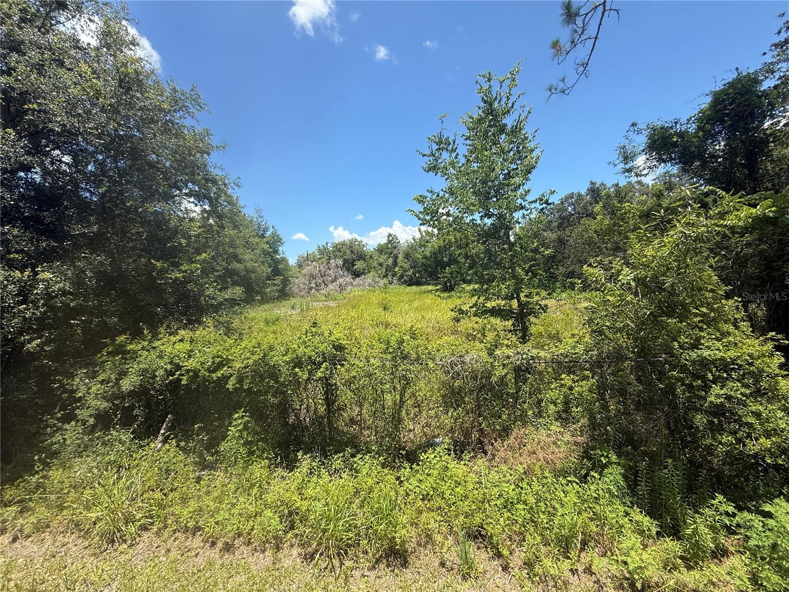 0 GOOLSBY ST, WEBSTER, FL, 33597