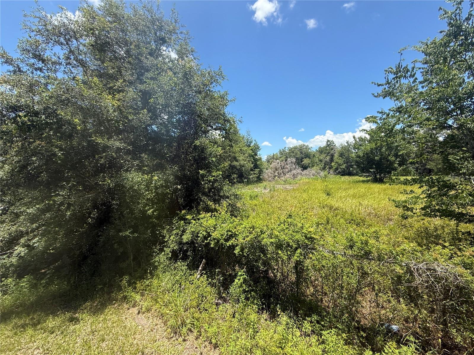 0 GOOLSBY ST, WEBSTER, FL, 33597