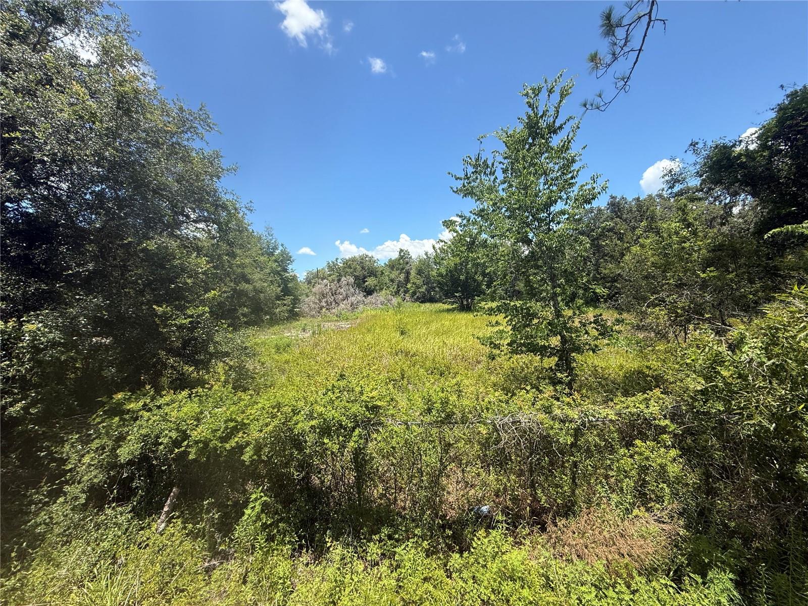 0 GOOLSBY ST, WEBSTER, FL, 33597