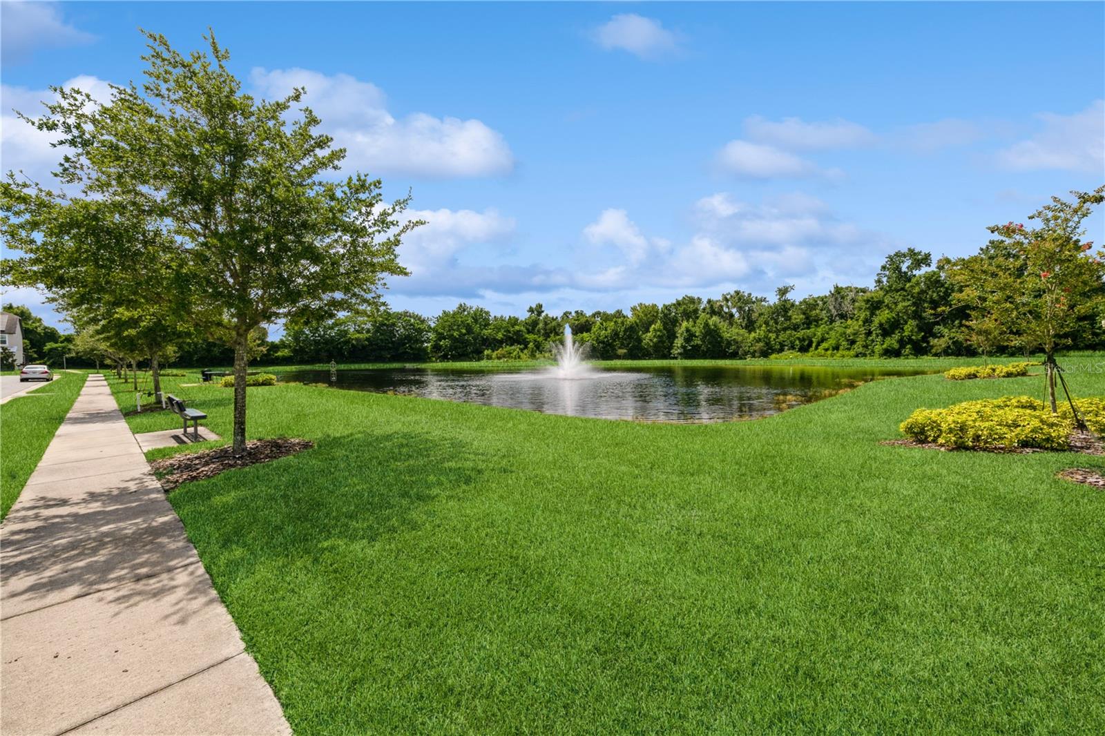 O6323915 Property Photo