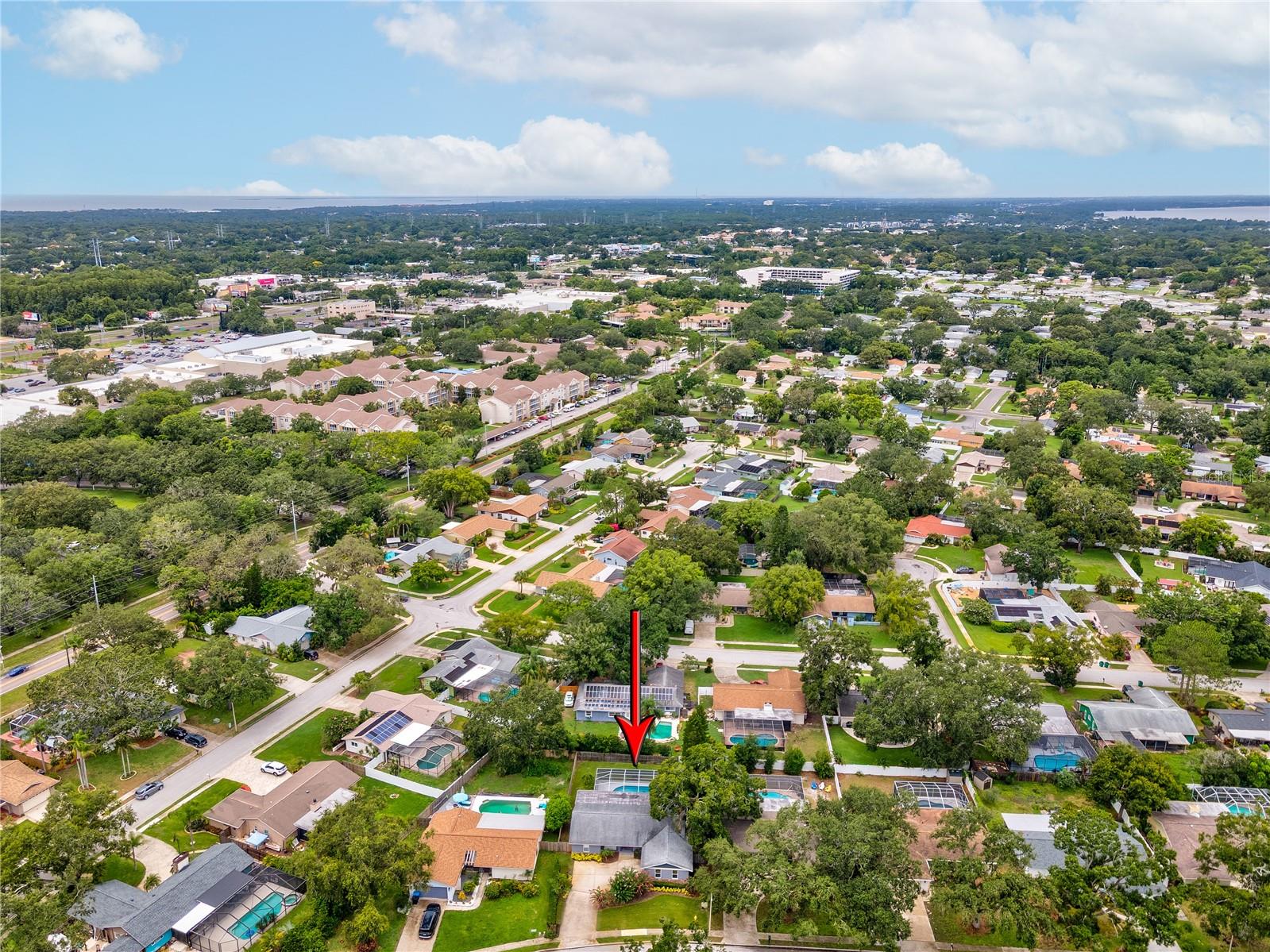 2827 OAK TREE LN, PALM HARBOR, FL, 34684